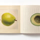 100 Writing & Crafting Papers: Fruits