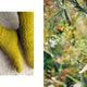 52 Weeks of Socks, Vol. II