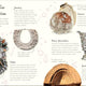 Anthology of Shells: A Collection of Fascinating Shells from Around the World