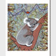 Koala  Print - Oral James Roberts