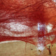 Chiharu Shiota