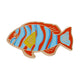 Harlequin Tuskfish Enamel Pin