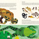 Fanatical About Frogs