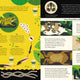 Fanatical About Frogs