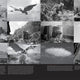 Godzilla: The First 70 Years - The Official Illustrated History of the Japanese Productions