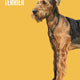Heads & Tails Dog Memory Game