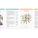 Home Full of House Plants: A Practical Card Deck