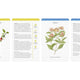 Kitchen Full of Herbs A Practical Card Deck