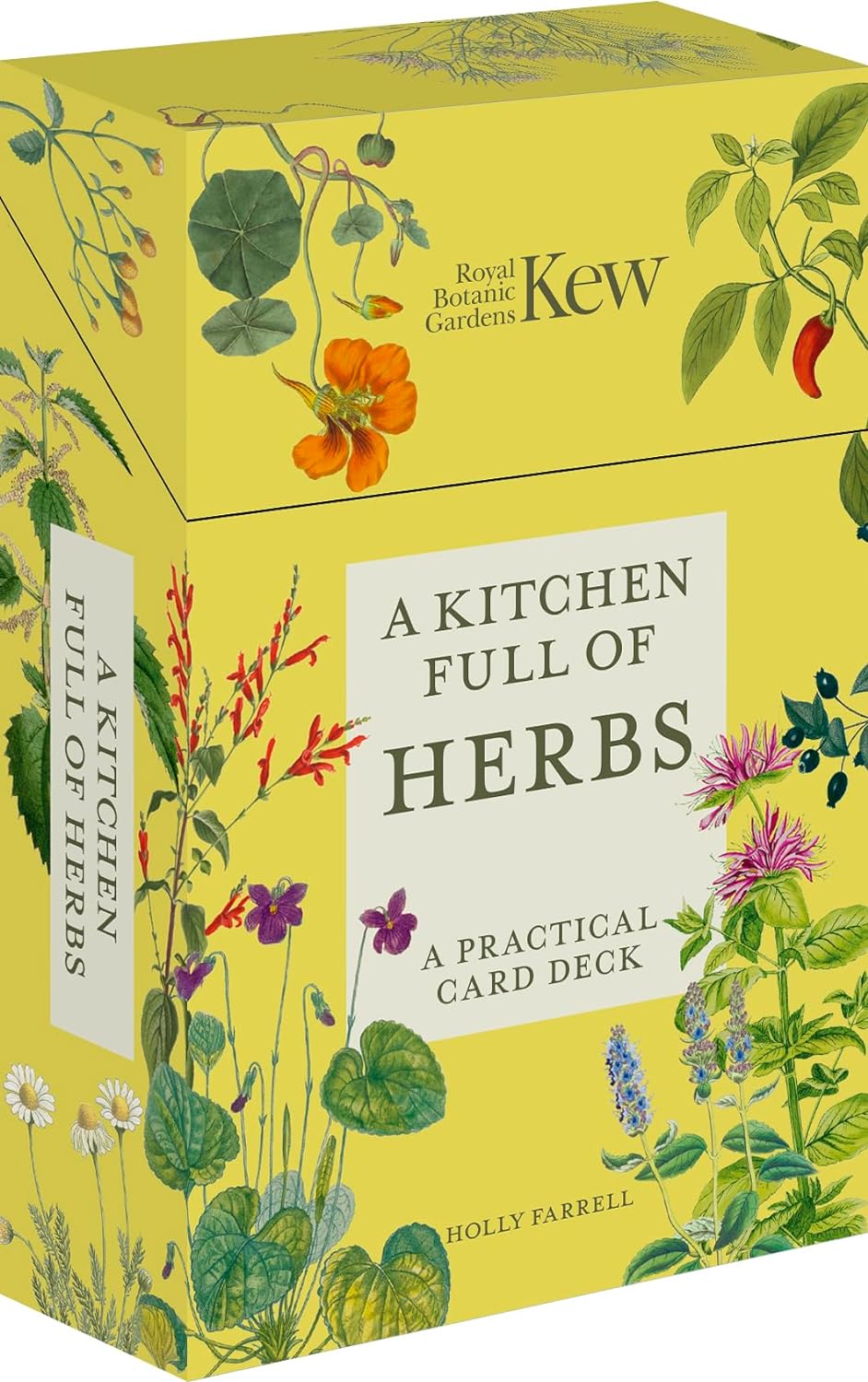 Kitchen Full of Herbs A Practical Card Deck