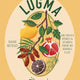 Lugma: Abundant Dishes and Stories From My Middle East