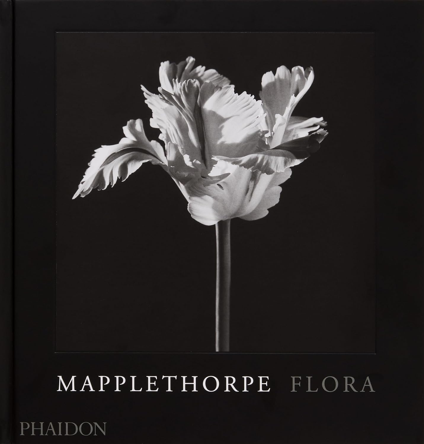 Mapplethorpe Flora – QAGOMA Store