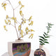 Yuguri (Shellfish) Vase - Libby Harward