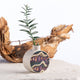 Yuguri (Shellfish) Vase - Libby Harward