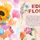 Watercolor Feast:  Learn to Paint Simple Fruits, Vegetables, and Flowers