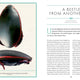 Wonder Cabinet of Fabulous Insects: Secrets of the World’s Rarest and Strangest Insects
