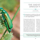 Wonder Cabinet of Fabulous Insects: Secrets of the World’s Rarest and Strangest Insects