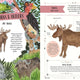 Wild: A Child's Guide to the Animal Kingdom