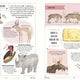 Wild: A Child's Guide to the Animal Kingdom