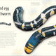 Anthology of Remarkable Bugs