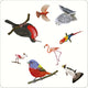 Bird Spotter: A Spotting Game for all the Family