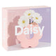 Daisy Vase Pink