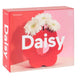 Daisy Vase Red