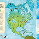 Dragon Atlas: Legendary Dragons of the World