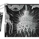 Cyrtoidea Clutch - Ernst Haeckel