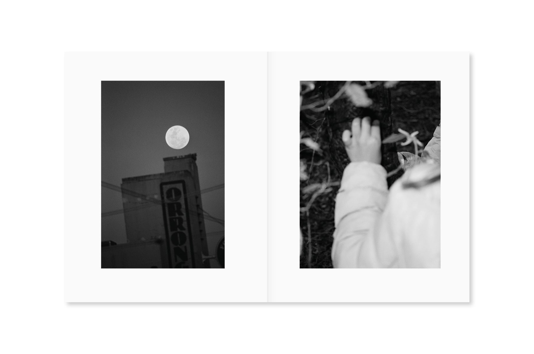 Katrin Koenning: Between the Skin and Sea – QAGOMA Store