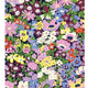 Liberty Thorpe Paint By Numbers Kit