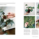 New Plant Collector