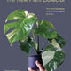 New Plant Collector