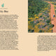 Undiscovered Western Australia: A Local's Guide to Finding Adventure
