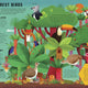 Wild Your World: Birds