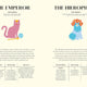 Wise Cat Tarot