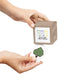 Go Green: 30 Day Challenge Activity Box