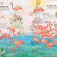Big Book of Birds