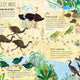 Big Book of Birds