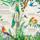 Big Book of Birds