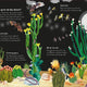 Big Book of Blooms