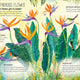 Big Book of Blooms
