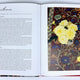 Blooms and Brushstrokes: A Floral History of Australian Art