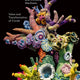 Margaret and Christine Wertheim: Value and Transformation of Corals