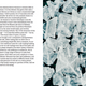 Do Sea Salt: The Magic of Seasoning