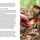 Do Wild Baking: Food, Fired and Good Times