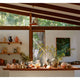 Earth & Fire: Modern Potters, Their Tools, Techniques and Practice