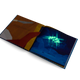 Fox and the Deep Sea Quest