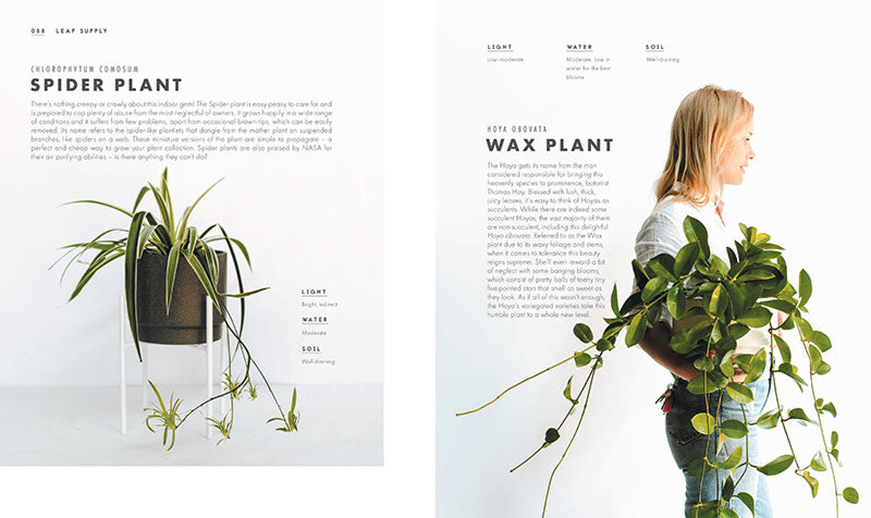 leaf supply a guide to keeping happy house plants Leaf Supply: A Guide to Keeping Happy Houseplants – QAGOMA Store
