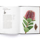 Story of Flowers: And How They Changed the Way We Live