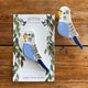 Ceramic Blue Budgie